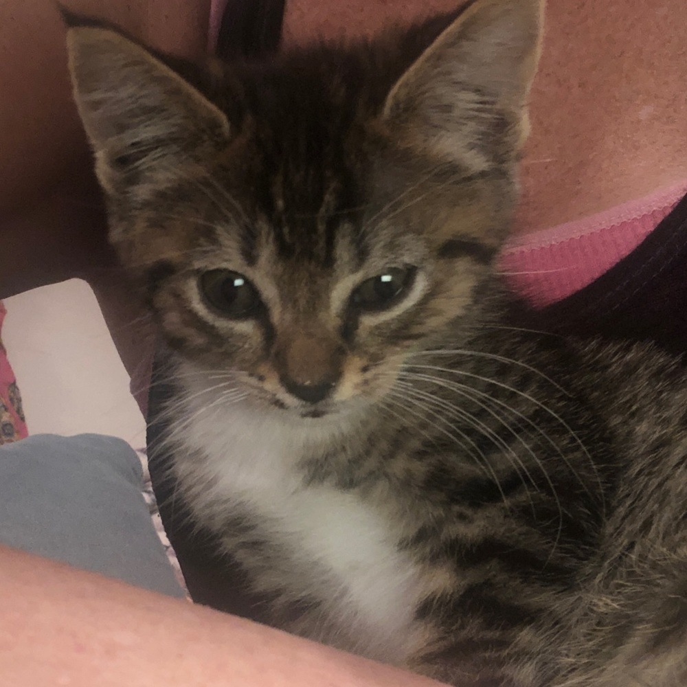 Meet your Posher, Christy